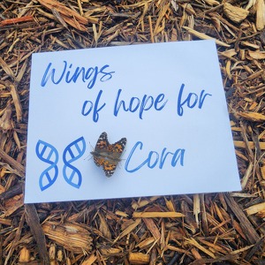 Fundraising Page: Jennifer Marasco Kuhn